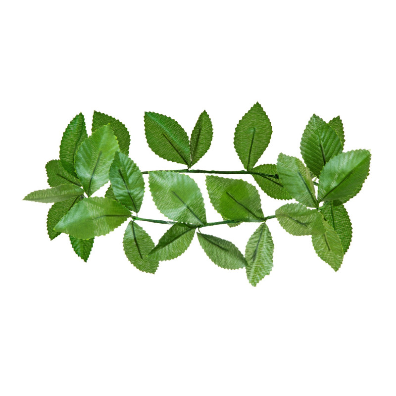 Vavřínový věnec zelený